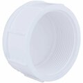 Charlotte Pipe And Foundry 2 In. FIP Schedule 40 Threaded PVC Cap PVC 02117  1800HA